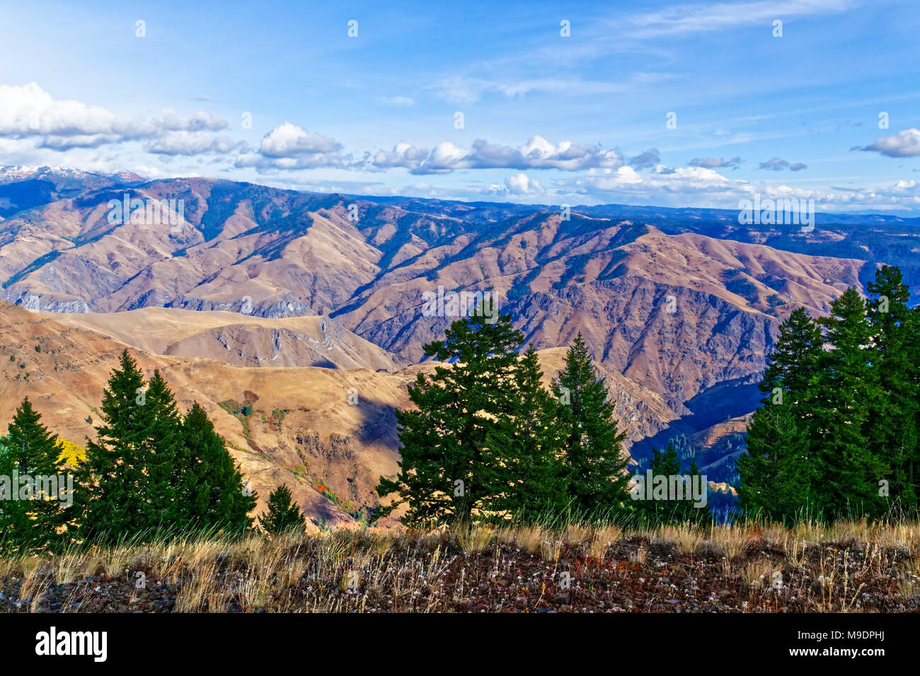 43,010.06382 Hells Canyon rolling hills Schluchten trockenen Schluchten Berge Stockfoto
