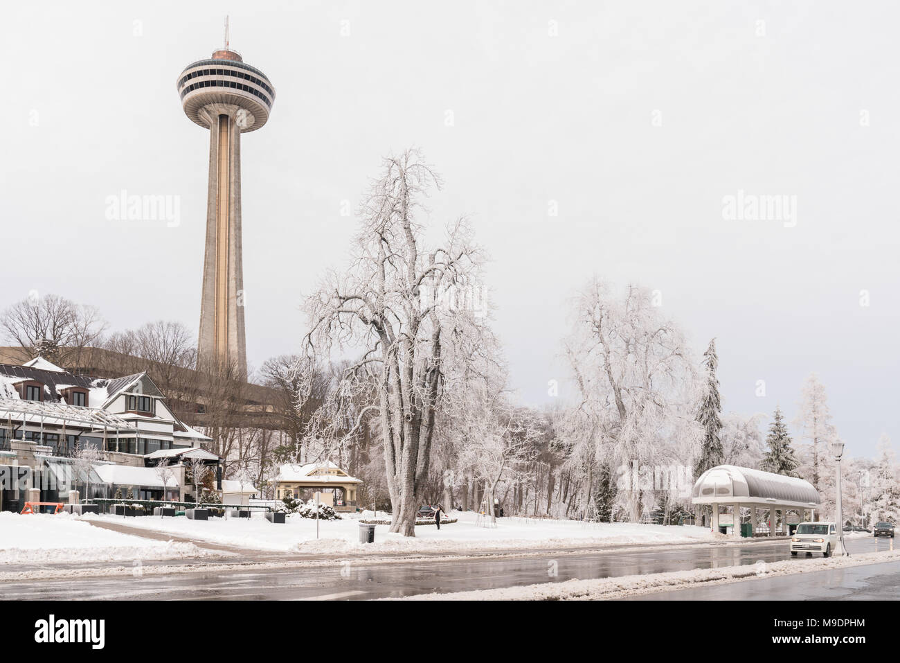 Gefrorene Bäume im Queen Victoria Park, Niagara Falls mit Skylon Tower im Hintergrund Stockfoto