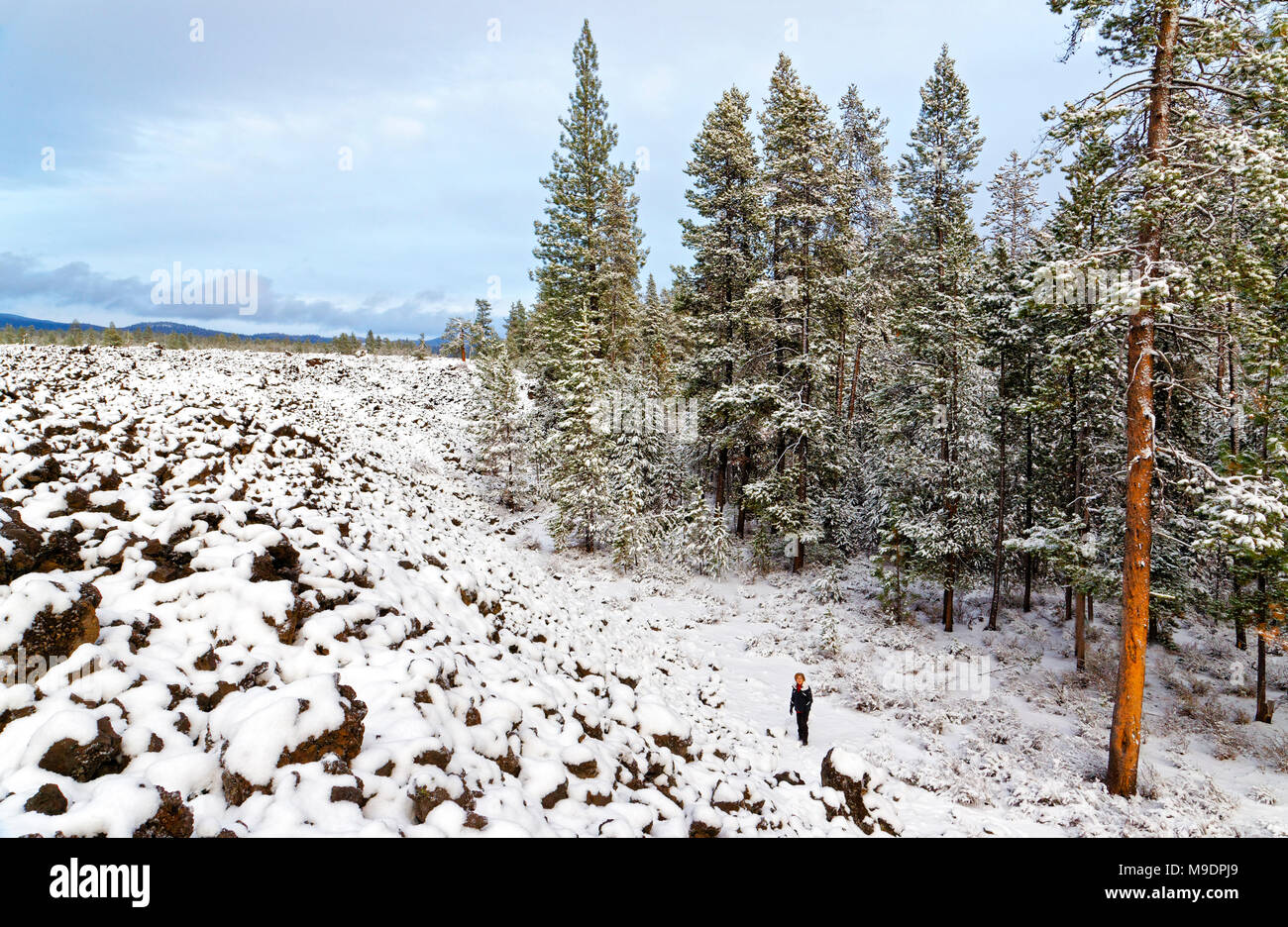 43,042.07681 frau person wandern Kante der schneereiche Winter Lavastrom am Rande eines Nadelwald Stockfoto