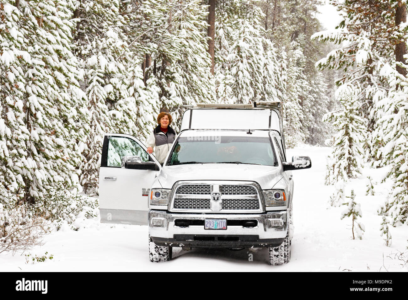 43,044.07709 Frau in Weiß & schwarz Mantel steht in der offenen Tür von einem weißen RAM Pickup Truck auf verschneiten Schnee Waldweg im fallenden Schnee Landschaft Stockfoto