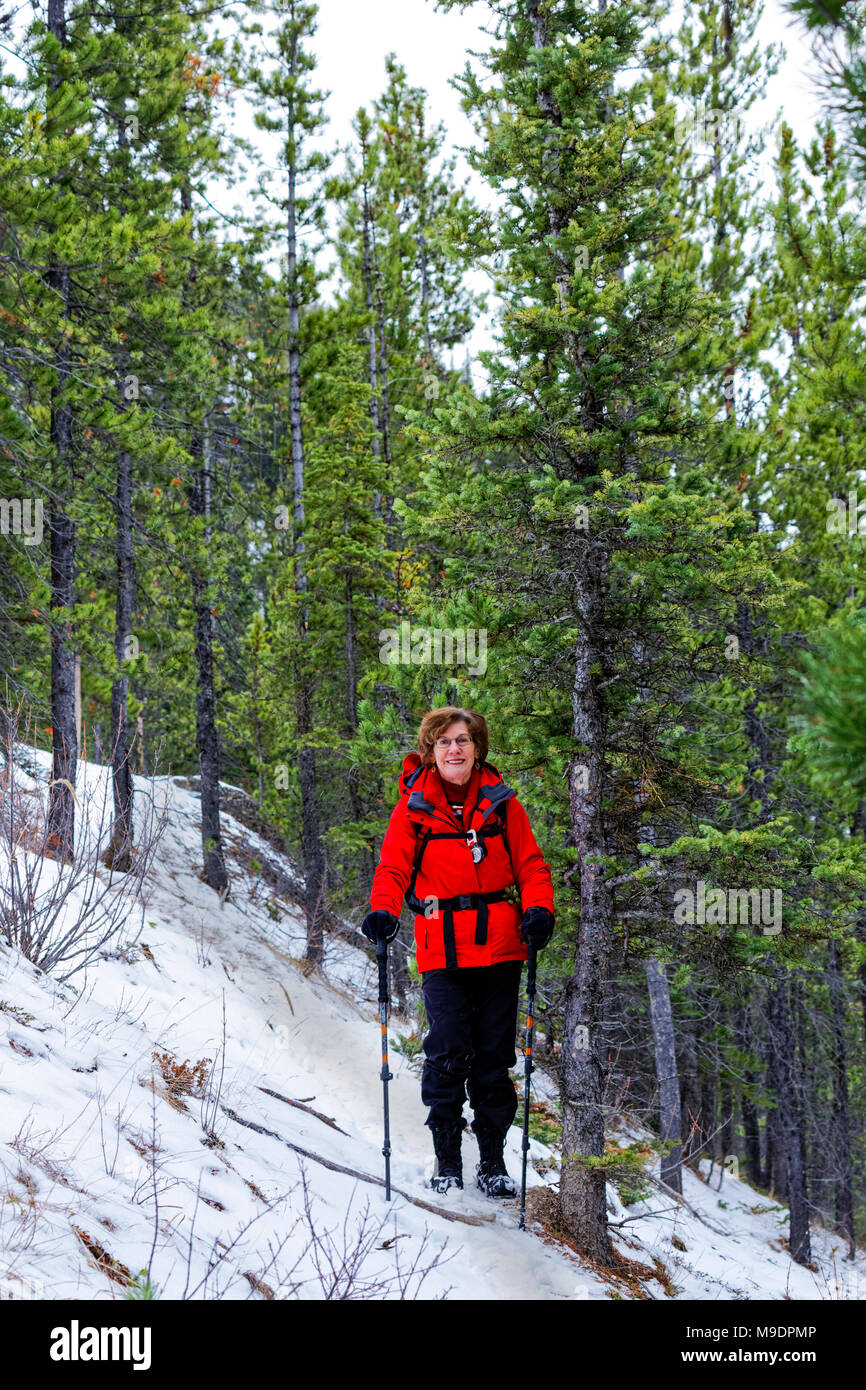 43,107.08527 Frau wandern schneereiche Winter Trail durch Nadelbaumbaum Wald auf dem Weg nach Morro Peak in der Nähe von Jasper, Kanada Stockfoto