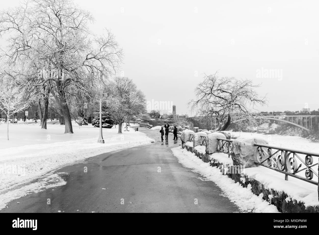 Touristen anzeigen Niagara Falls im Winter mit gefrorenen Bäumen, Schnee und Eis. Stockfoto