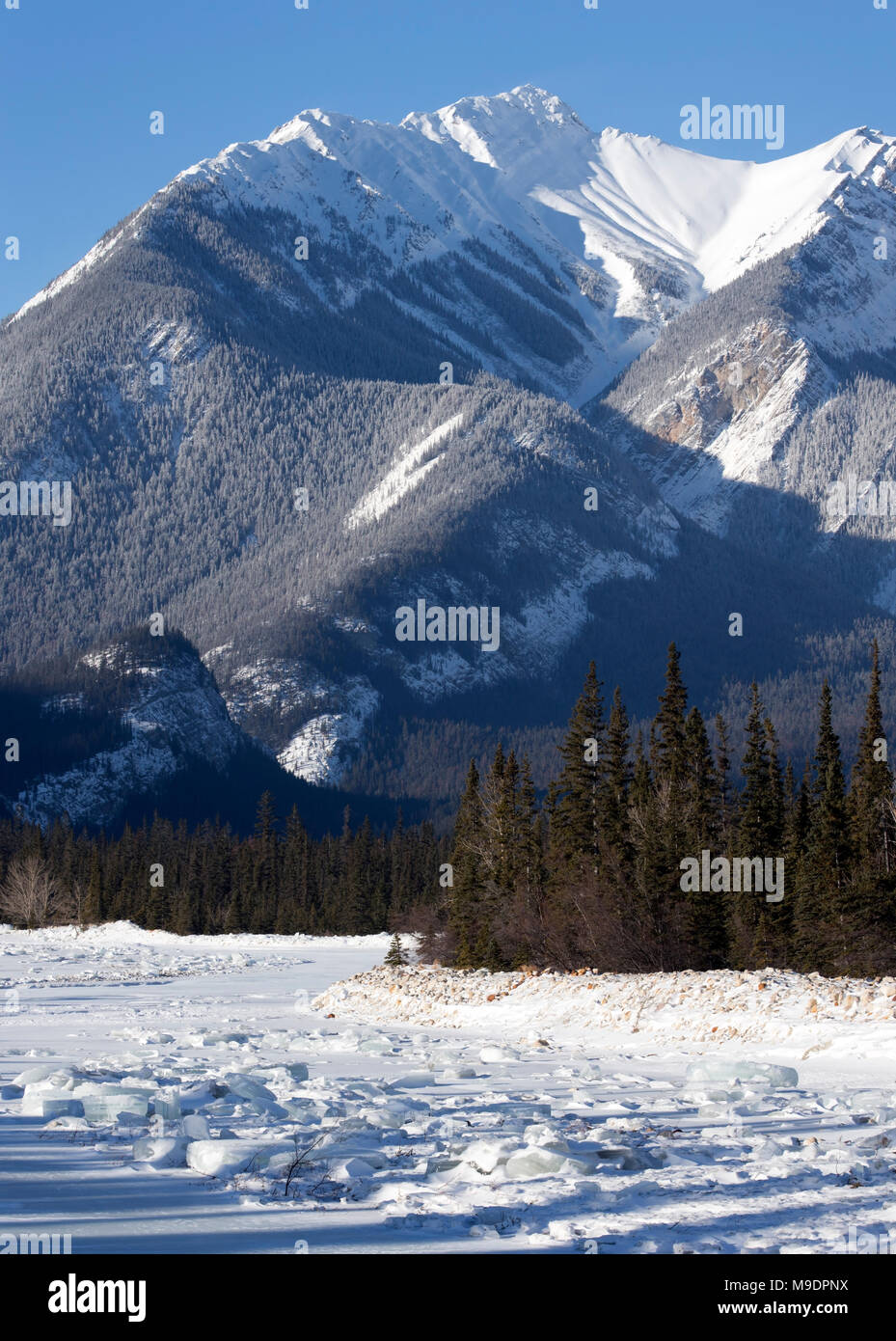 Auf Snaring River 43,111.08710 Eis und Schnee auf Michael Berg Stockfoto