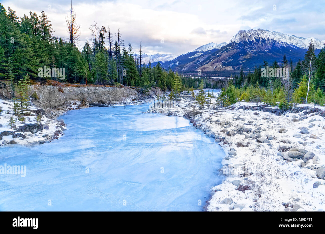 43,120.09319 Berge Landschaft mit Wasser von Corral Creek Feste in eiszeitlichen Blue Ice bei -22 Grad Celsius gefroren, nadelbäumen Wald Stockfoto