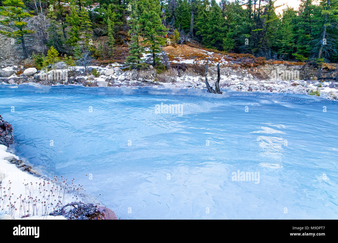 43,120.09327 Landschaft mit Wasser von Corral Creek Feste in eiszeitlichen Blue Ice bei -22 Grad Celsius gefroren, verschneiten Nadelbäumen Wald Stockfoto