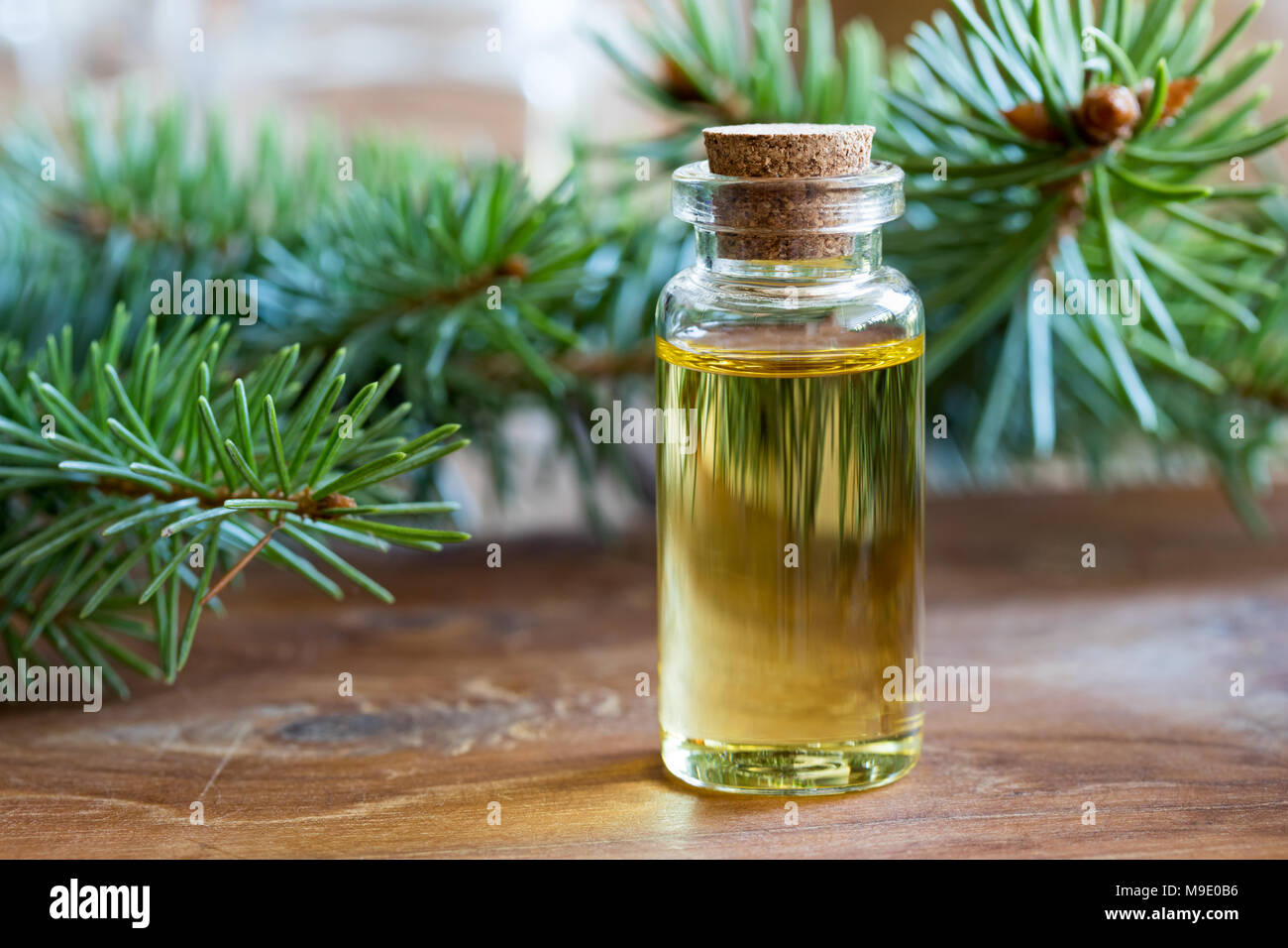 Eine Flasche Fichte, ätherisches Öl mit frischen Zweigen Fichte Stockfoto