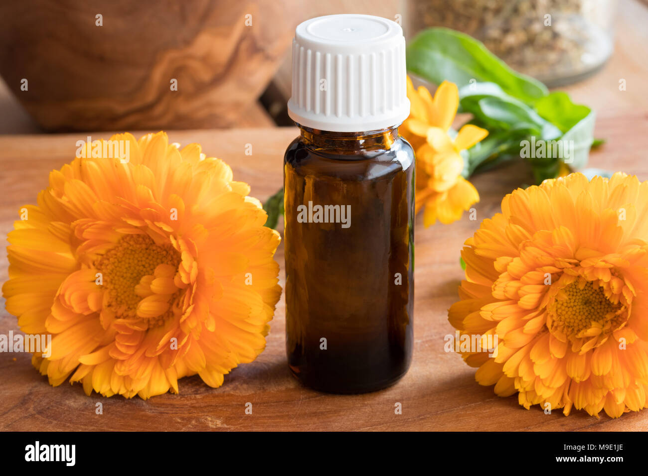 Eine dunkle Flasche calendula Öl mit Calendula Blüten im Hintergrund Stockfoto