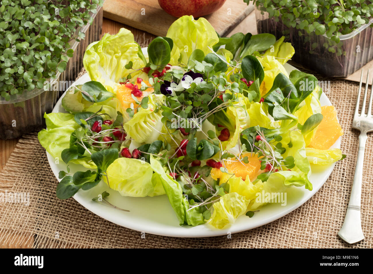 Gemüsesalat mit frisch gewachsen Grünkohl und Brokkoli micro Grüns, Kopfsalat, Feldsalat, Avocado, Orange, Granatapfel Stockfoto