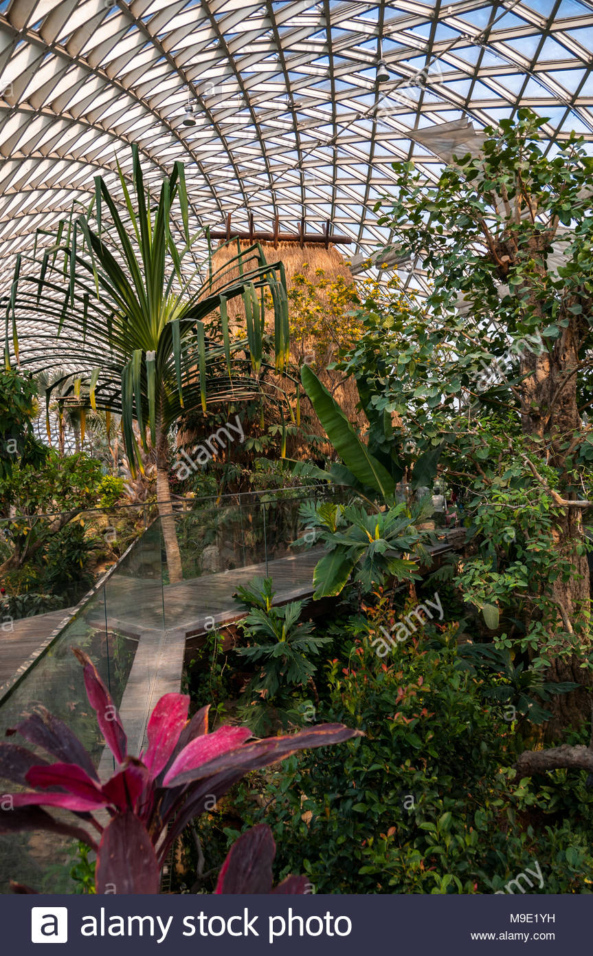 Innerhalb Der Biome Am Botanischen Garten Chenshan In Songjiang