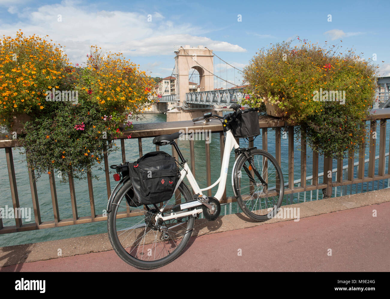 Radfahren auf der ViaRhôna: der Radweg an der Vienne mit der Alten Brücke und den Fluss Rhône, Frankreich Stockfoto