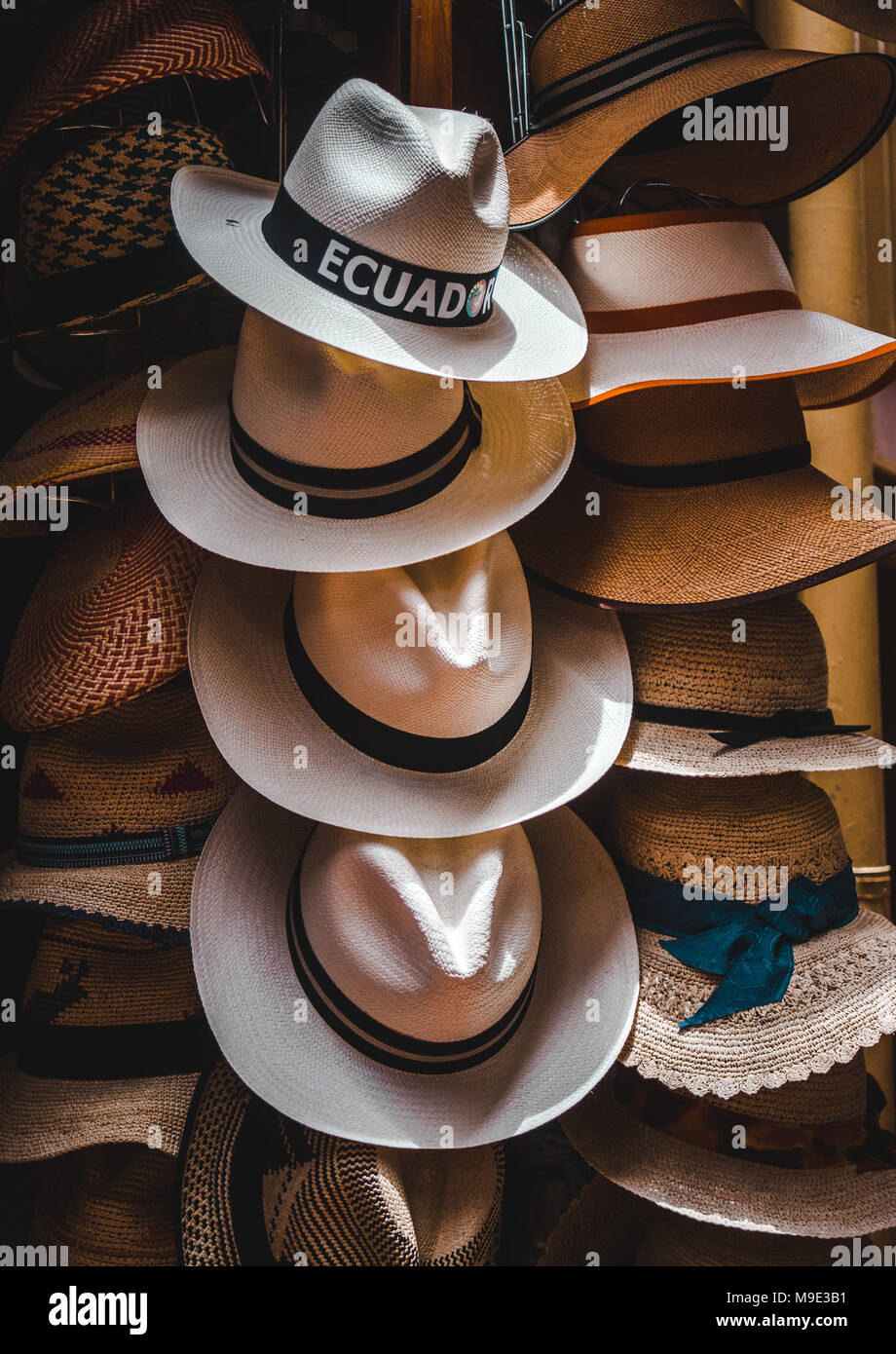 Handgefertigte ecuadorianischen Panama Hüte mit schwarzen Streifen auf dem Display in einem Geschäft in Cuenca, Ecuador Stockfoto