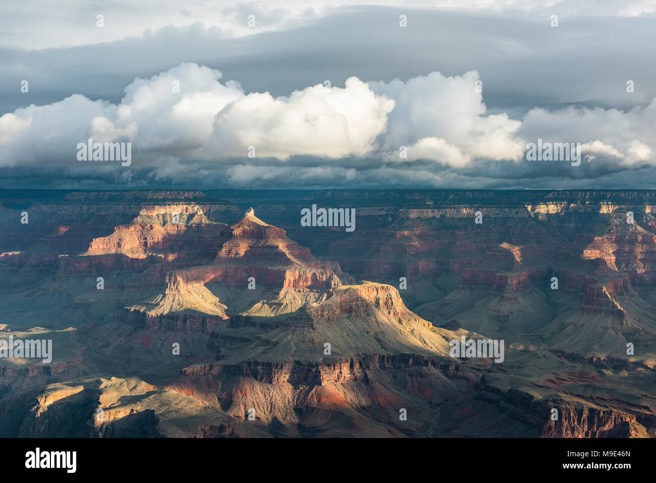 Morgen Wolken, Yavapai Point, Grand Canyon NP, AZ, USA, Mitte September, von Dominique Braud/Dembinsky Foto Assoc Stockfoto