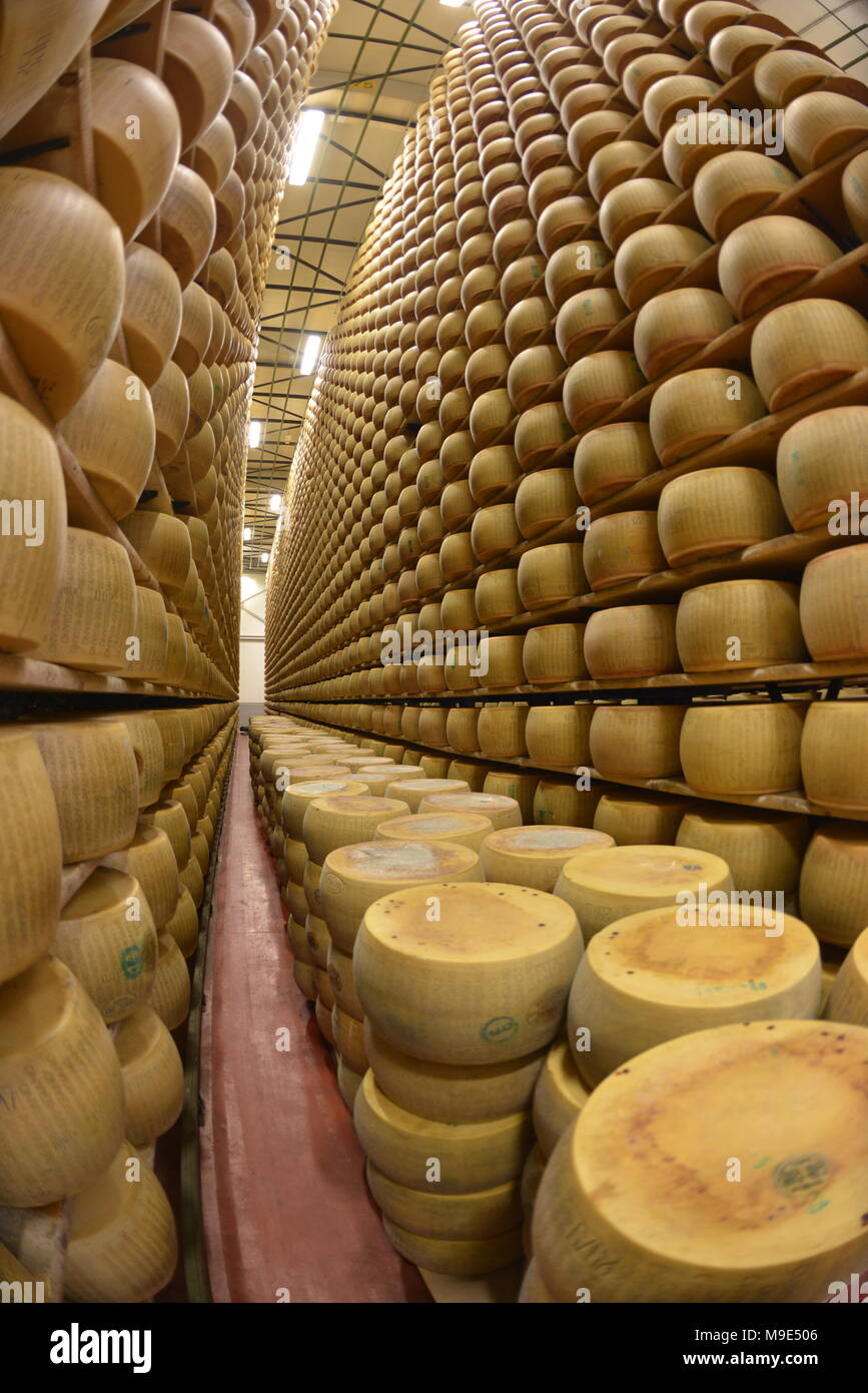 Parmesan Lagerung in Reggio Emilia, Italien Stockfotografie - Alamy