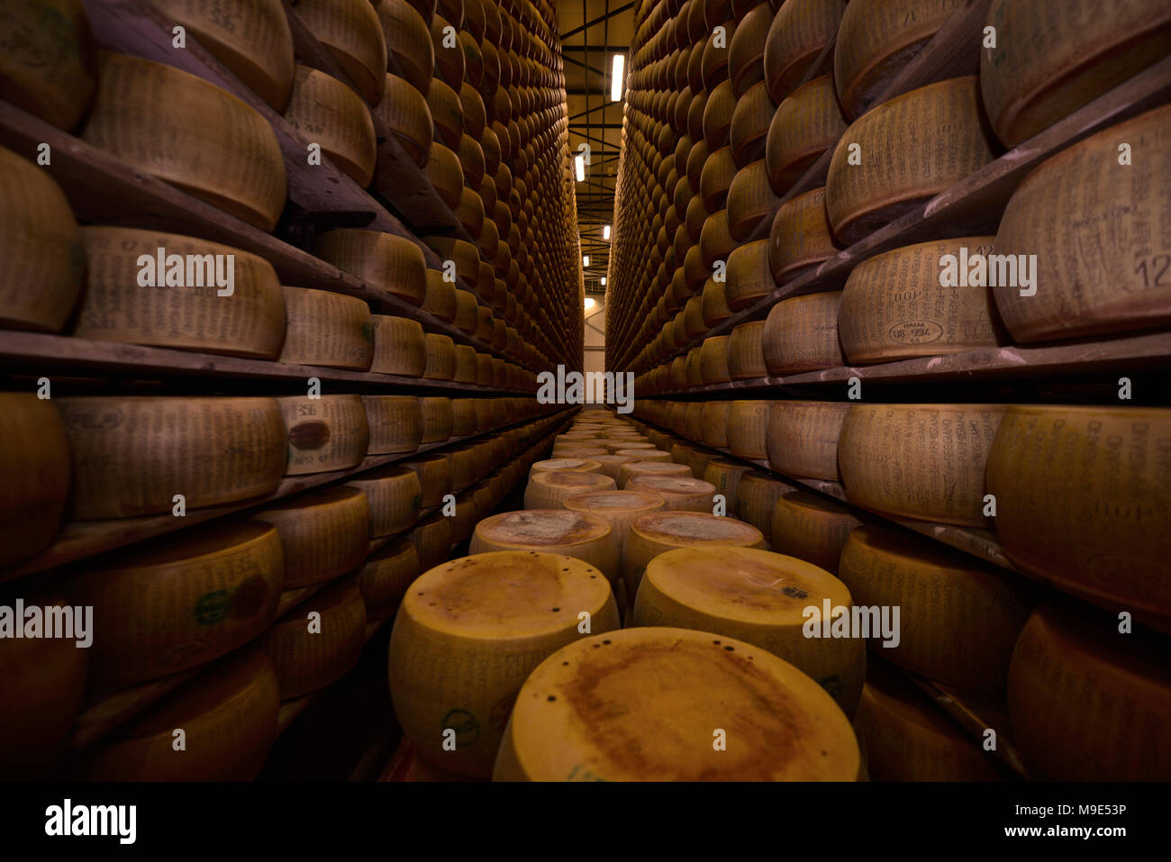 Parmesan Lagerung in Reggio Emilia, Italien Stockfoto