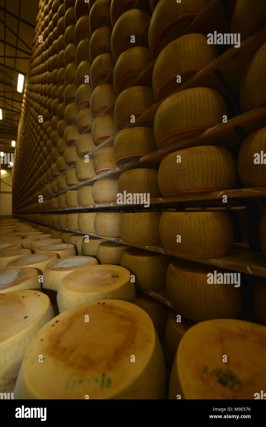 Parmesan Lagerung in Reggio Emilia, Italien Stockfoto