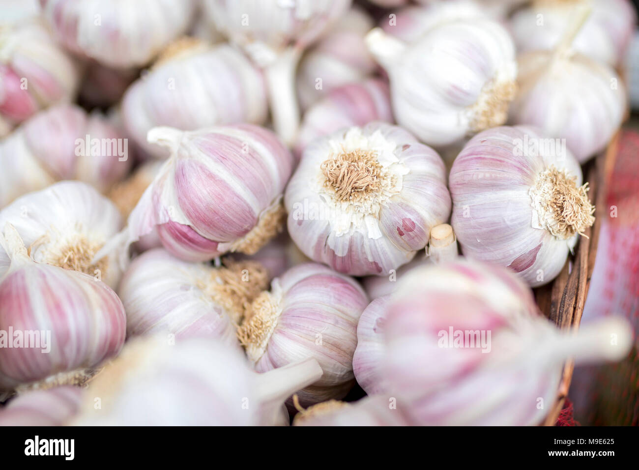 Frische und organische Knoblauchzehen in der Nähe auf einem Bauernmarkt in der England, Großbritannien Stockfoto