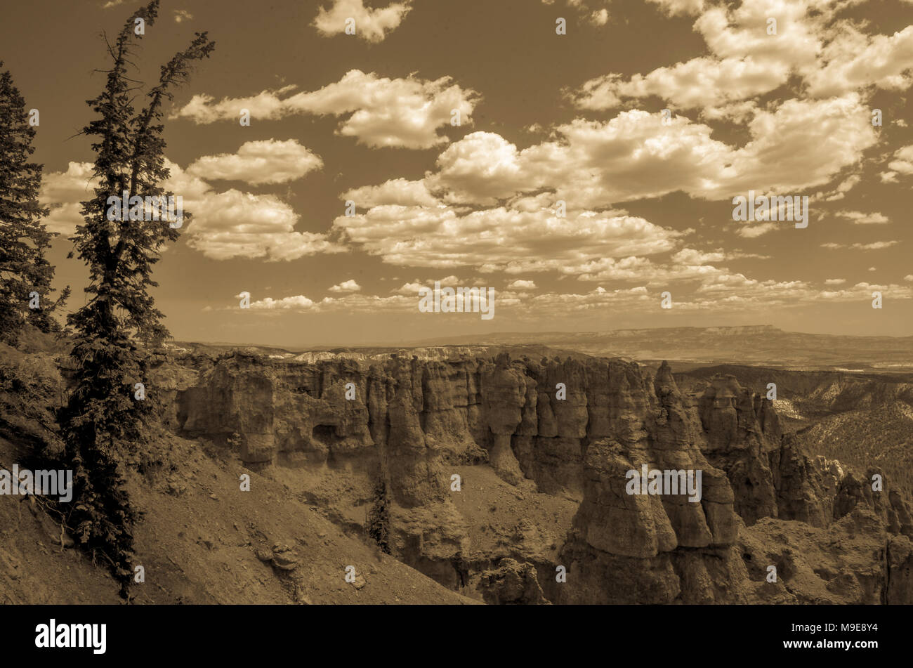 Mit Blick auf den Canyon mit Kiefern auf Hügel, weite felsige Tal mit Sandstein spires unter Himmel mit whit Fluffy Clouds. Sepia Ton. Stockfoto Mit Blick auf den Canyon mit Kiefern auf Hügel, weite felsige Tal mit Sandstein spires unter Himmel mit whit Fluffy Clouds. Sepia Ton. Stockfoto