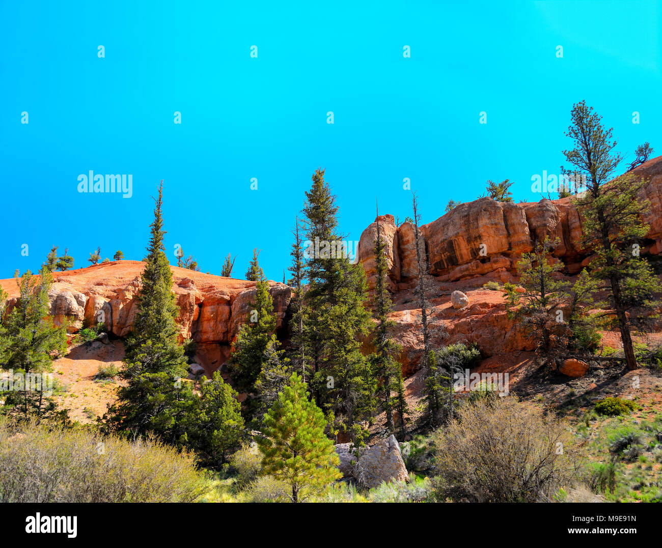 Licht blauer Himmel, hohen grünen Pinien rote Navajo Sandstein Berge eine malerische Aussicht auf Siehe erstellen. Stockfoto