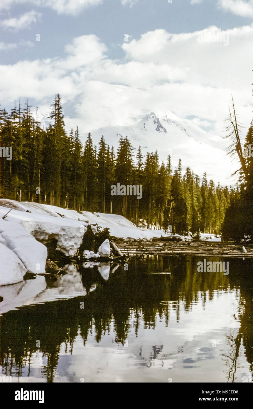 Blick auf Spirit Lake und Mount St. Helens mit Schnee bedeckt, mit Kiefern am Rande des Wassers reflektiert, Washington State, USA in den 1950er Jahren Stockfoto