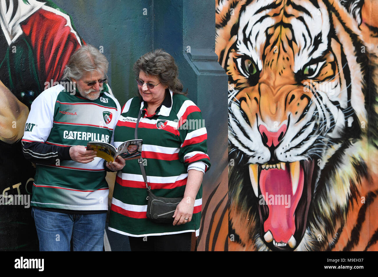 Leicester Tigers Fans lesen Sie den Spieltag Programm vor dem Aviva Premiership Spiel in Welford Road, Leicester. Stockfoto