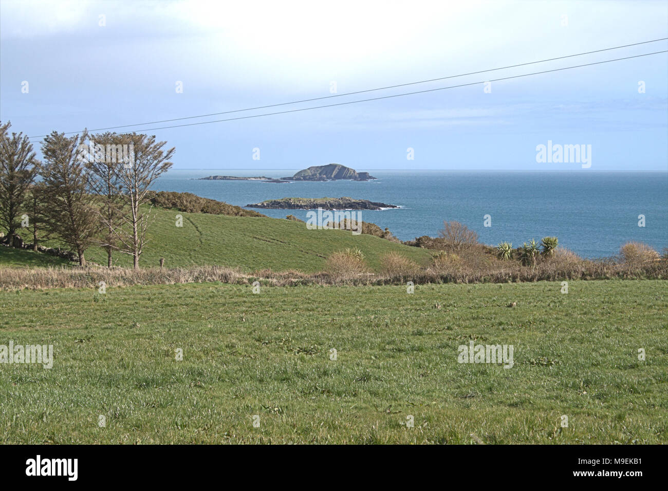 Blick auf die hohen und niedrigen Insel und die umliegende Landschaft an der Küste von West Cork, Irland Stockfoto