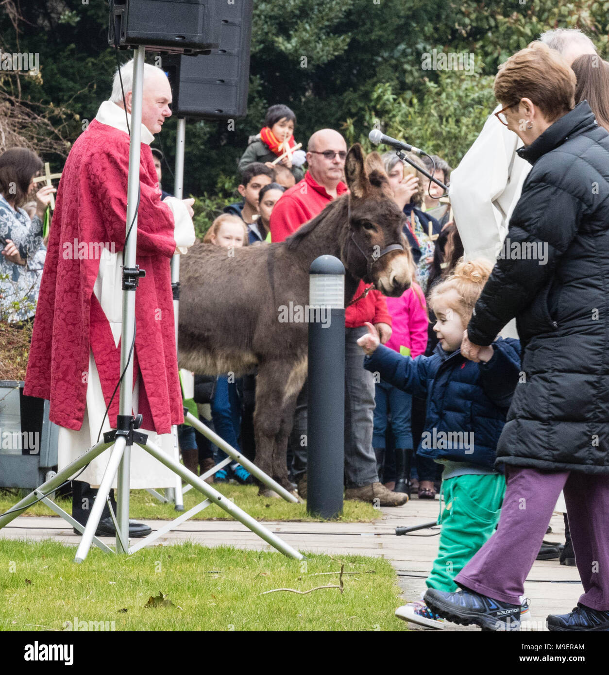 Brentwood, Essex, 25. März 2018, Palmsonntag Prozession am Brentwood römisch-katholische Kathedrale,, Brentwood, Essex UK, Kredit Ian Davidson/Alamy leben Nachrichten Stockfoto