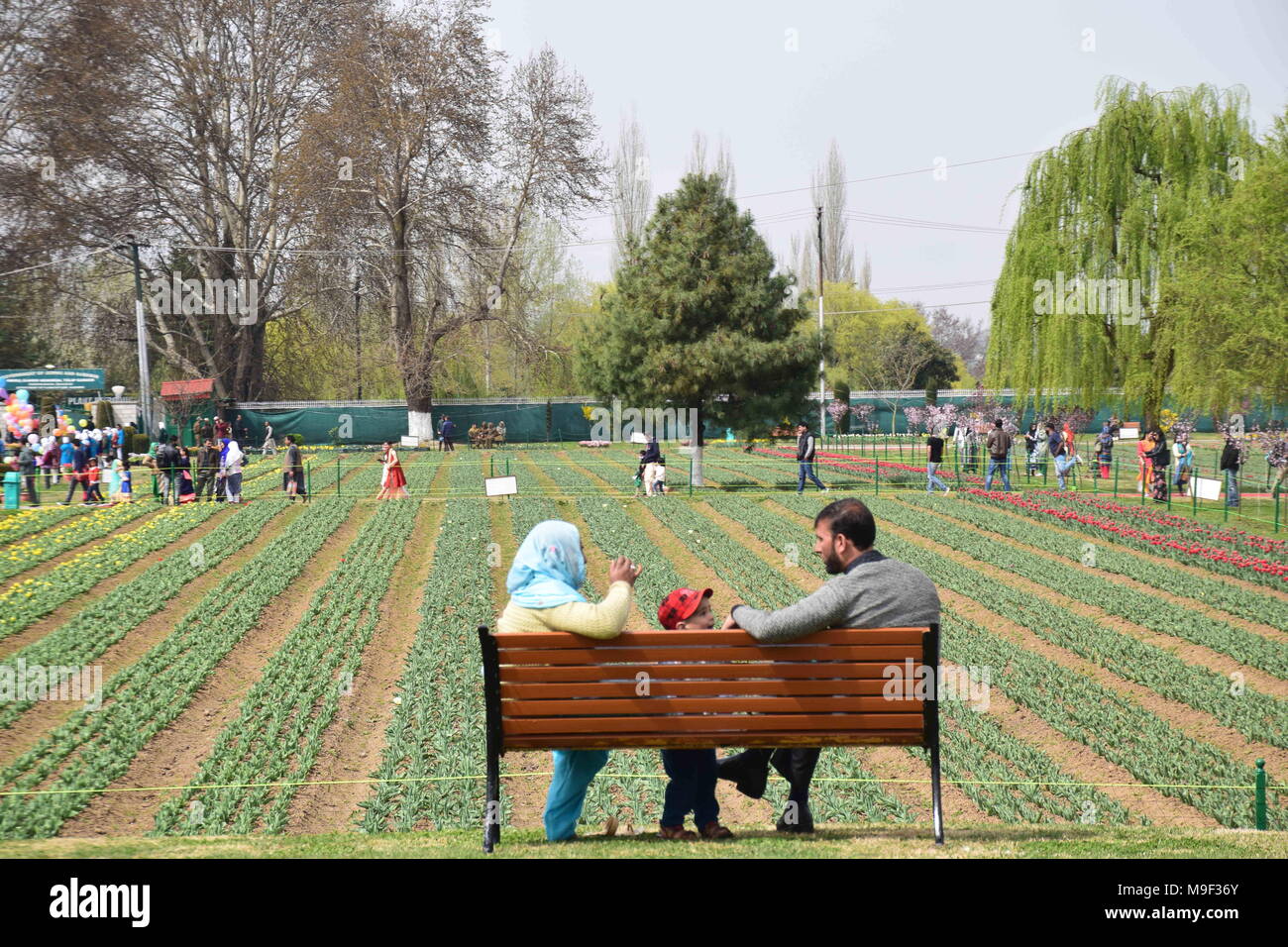 März 25, 2018 - Srinagar, Jammu und Kaschmir, Indien - Touristen, im größten tulip Garten des weltberühmten Asien in Srinagar Sommer Hauptstadt des indischen Teil Kaschmirs. Mit 20 lakh Tulpen von 46 Sorten, die in den Schoß, Asiens größte Tulip Garten mit Blick auf den weltberühmten Dal Lake hier wurde am Sonntag, 25. April 2018 offen für Besucher geworfen und markiert den Beginn der neuen touristischen Saison im Tal. Tausende von Touristen besucht die Asien grösste tulip Garten heute auf seiner Eröffnung. Credit: ZUMA Press, Inc./Alamy leben Nachrichten Stockfoto