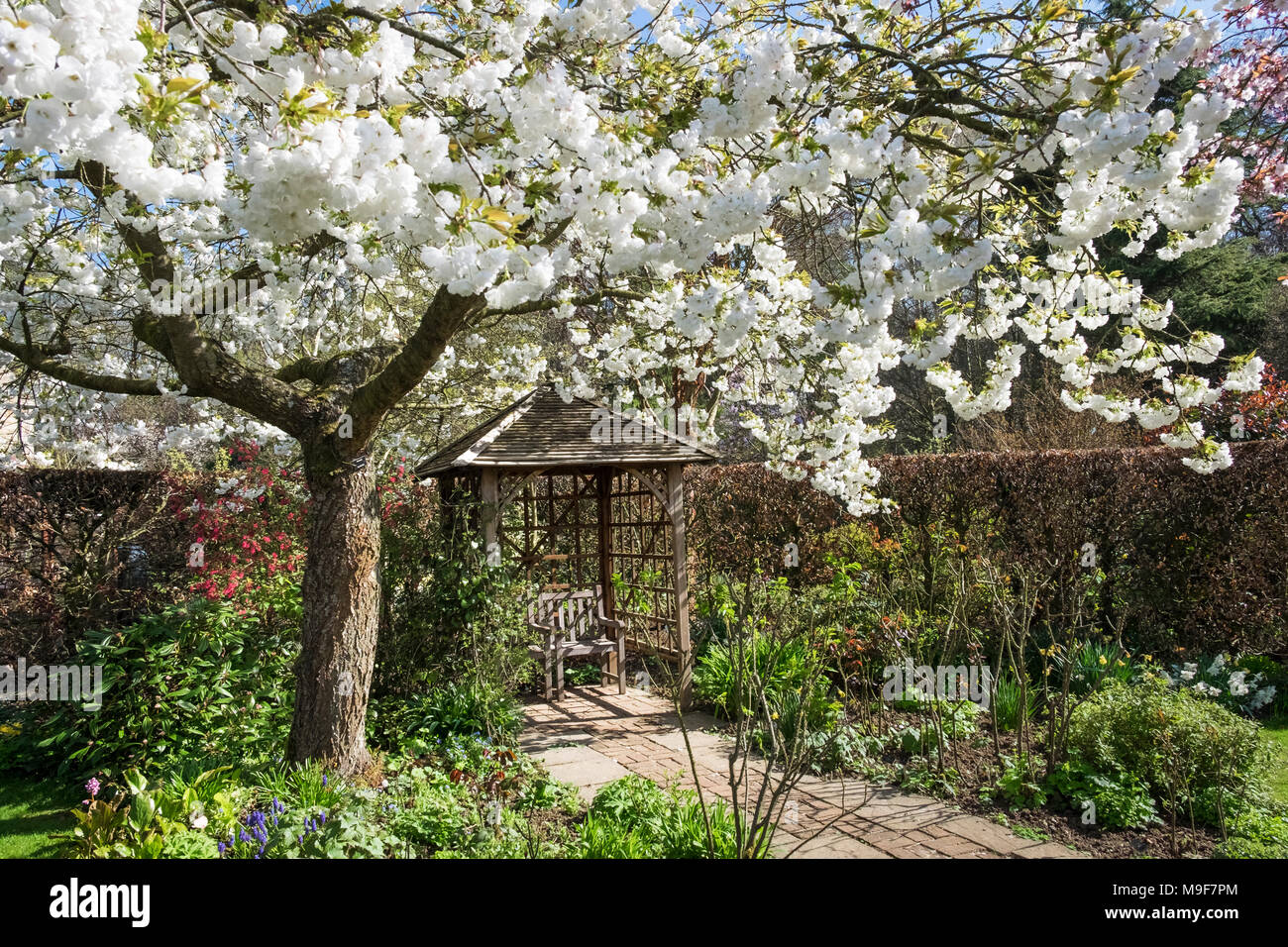 Frühling Garten mit blühenden Baum und Laube, East Midlands, England