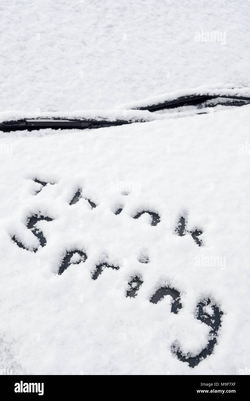 Die Meldung "think Spring" im frischen Schnee auf einer Motorhaube geschrieben nach einem frühen Jahreszeit Schneefall. Stockfoto
