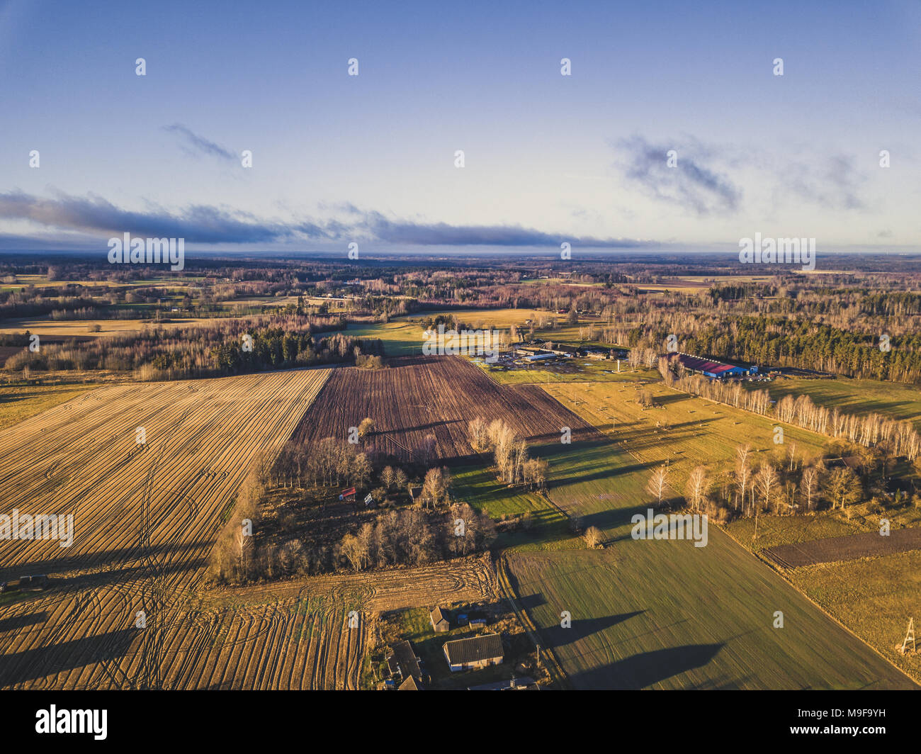 Antenne Drone Foto eines Wiesen im schönen Herbst Farben umgeben - Vintage look bearbeiten Stockfoto