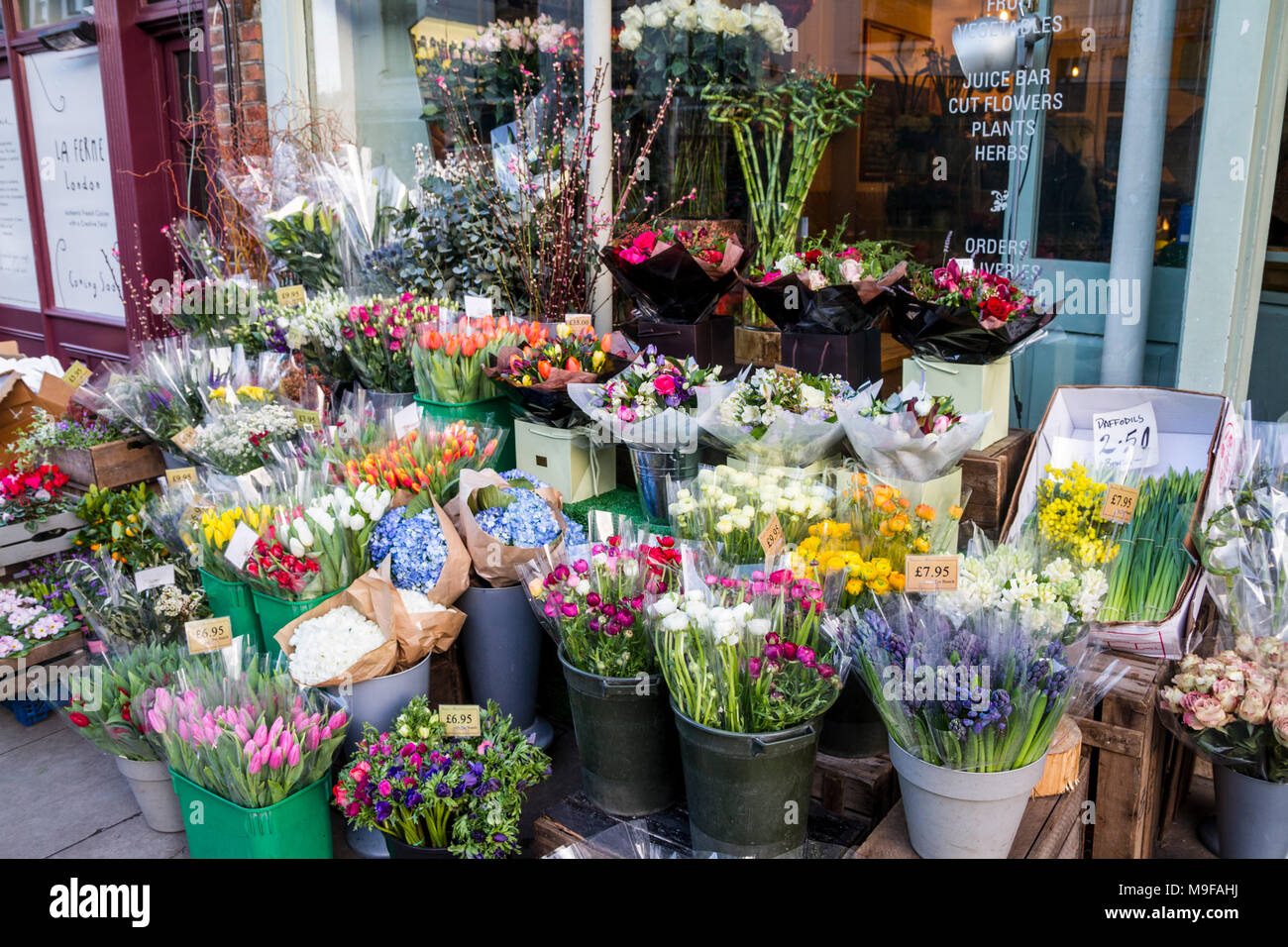 Eimer Sträuße, Blumen, Blumenstrauß, Yeomans Blumengeschäft Floristen auf der Regent's Park Road, Primrose Hill, Camden london Primrose Stockfoto