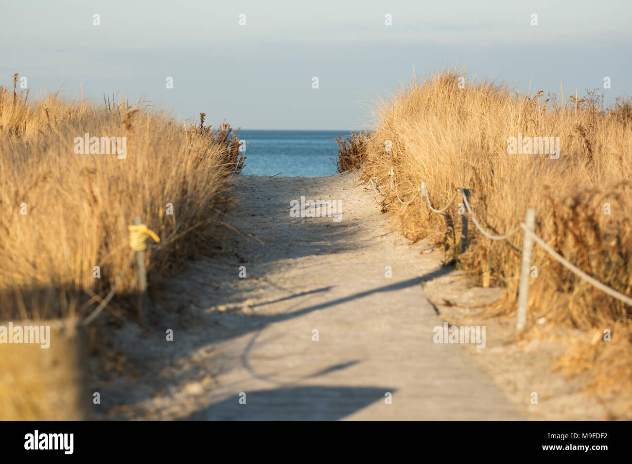 Die Promenade am Wingaersheek Beach in Gloucester, Massachusetts, an einem Wintertag. Stockfoto