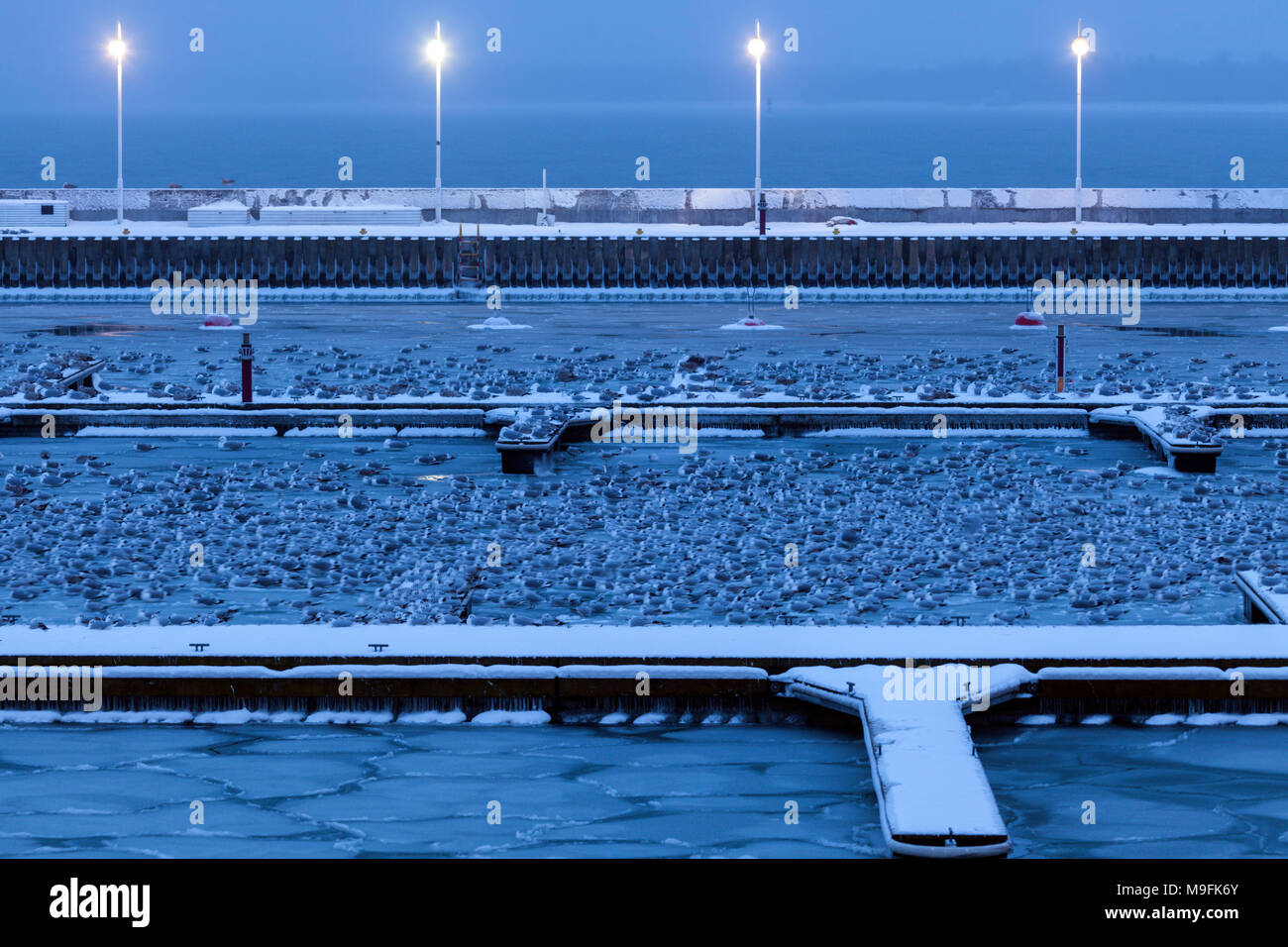 Marina von Sopot Pier im Winter Landschaft. Sopot, Pommern, Polen. Stockfoto