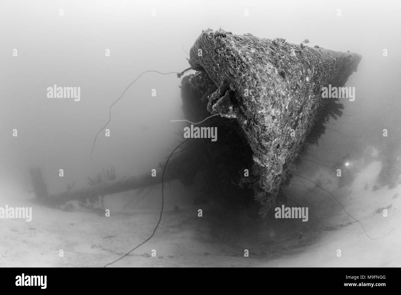 Taucher erkunden Hilma Hooker Schiffswrack in Bonaire Stockfoto