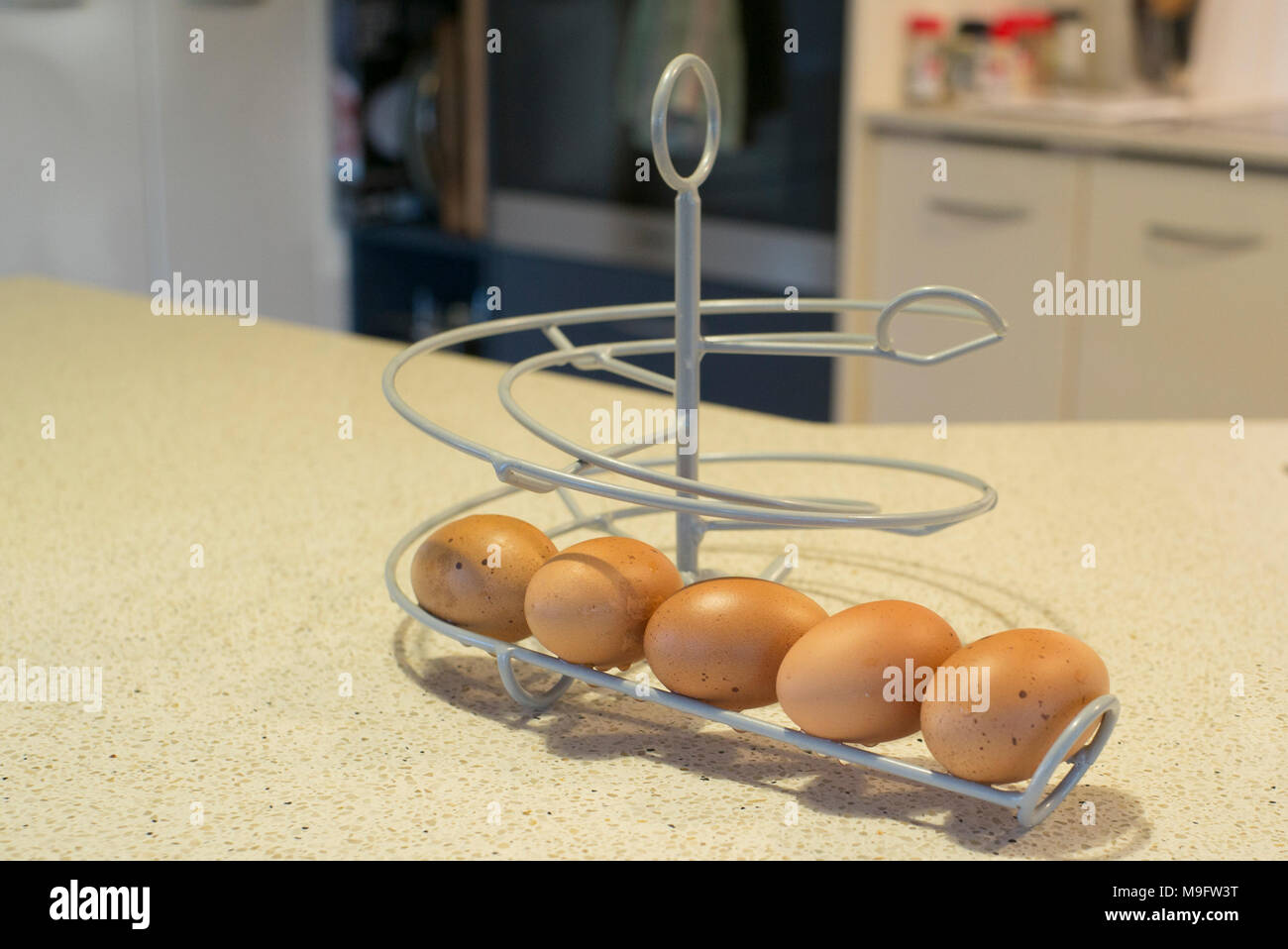 Ein Ei skelter Sicherstellung der Hinterhof Hühnereier sind in der Reihenfolge gehalten, dass sie verzehrt werden sollten. Stockfoto