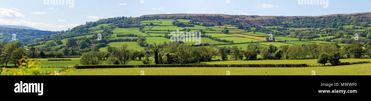 42,504.00997 Panorama rolling landwirtschaftlichen Hügel Hügel, Bäume weide schafe im ländlichen Wales, in der Nähe der Talgarth Stockfoto