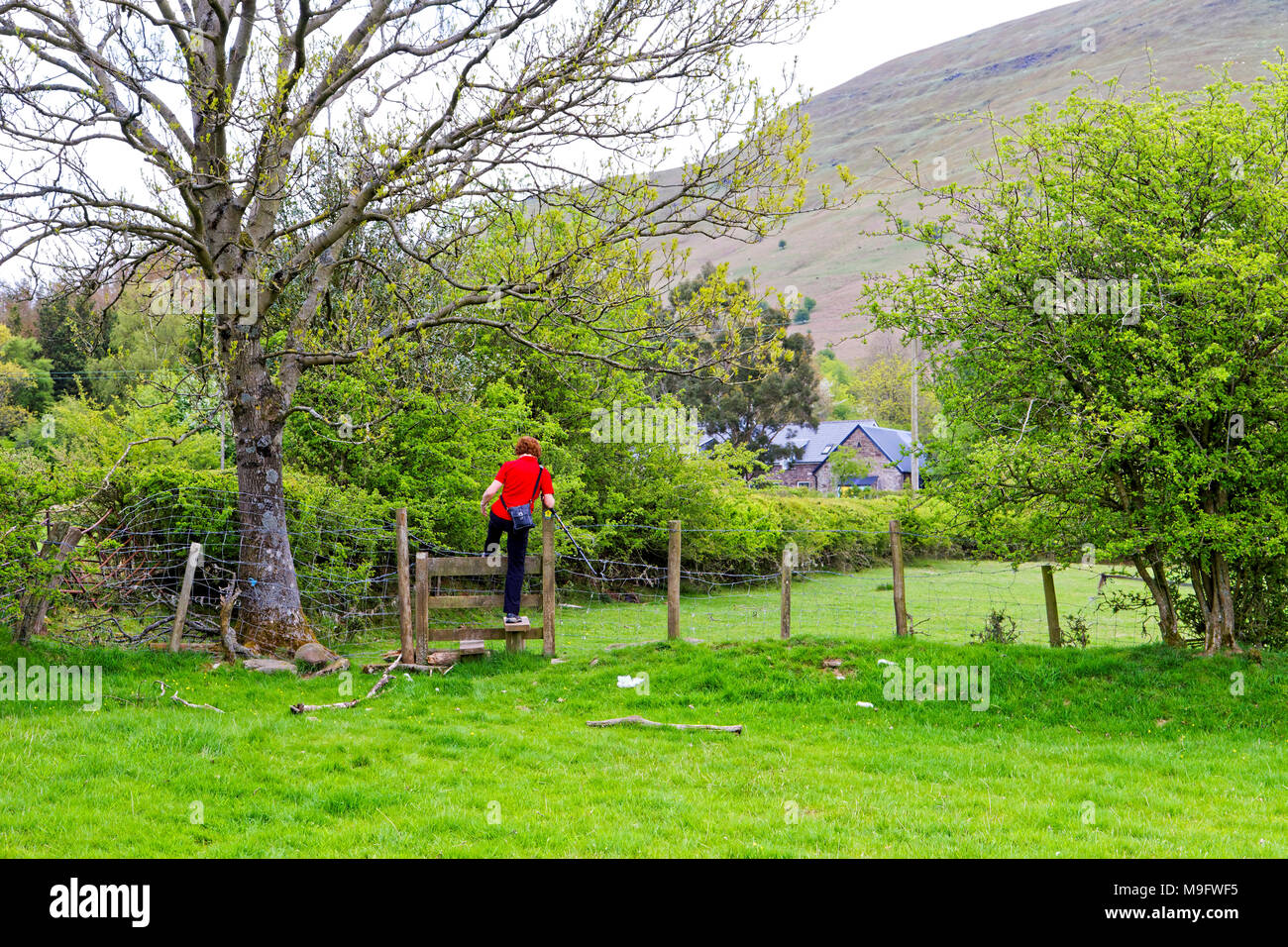 42,505.01250 Frau klettern Weidezaun auf öffentlichen weg weg der Schwarzen Berge in Wales, GB Stockfoto