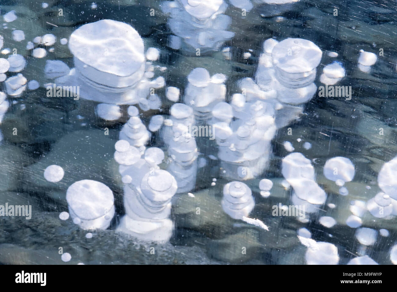 42,747.08368 Nahaufnahme von 3 Zoll Luftblasen in 3 ft dickes Eis auf Abraham Lake, Nordegg, Alberta Kanada, Nordamerika eingefroren Stockfoto