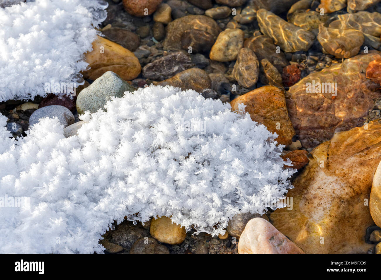 42,748.08650 close-up, weichen, weißen Schnee- und Feder-wie Eiskristalle Rest ruhig auf kalten Winter rötlich Red River Rocks Stockfoto