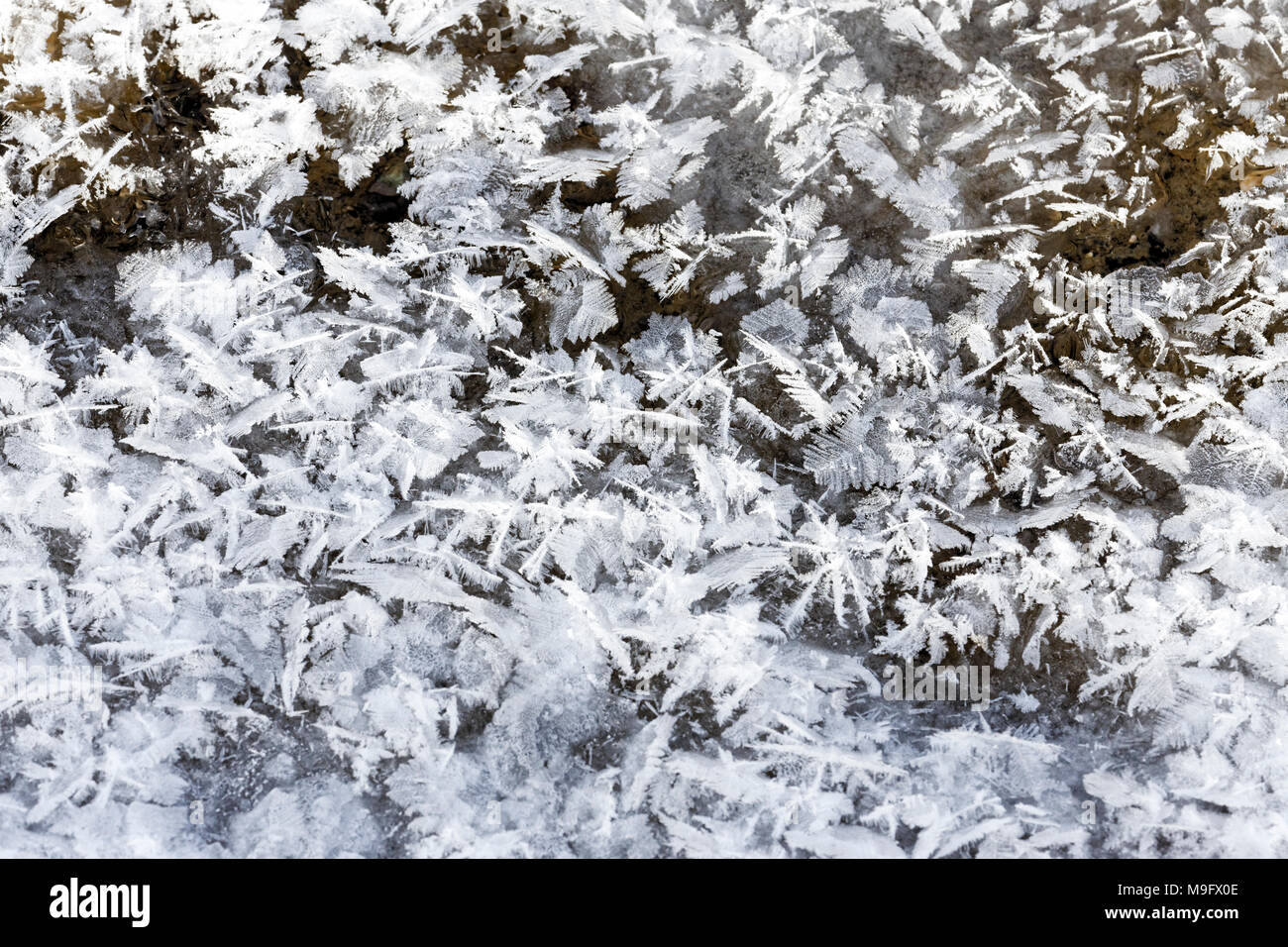 42,748.08667 in der Nähe von kleinen und zarten Feder-wie Eiskristalle eingebettet in River ice Stockfoto