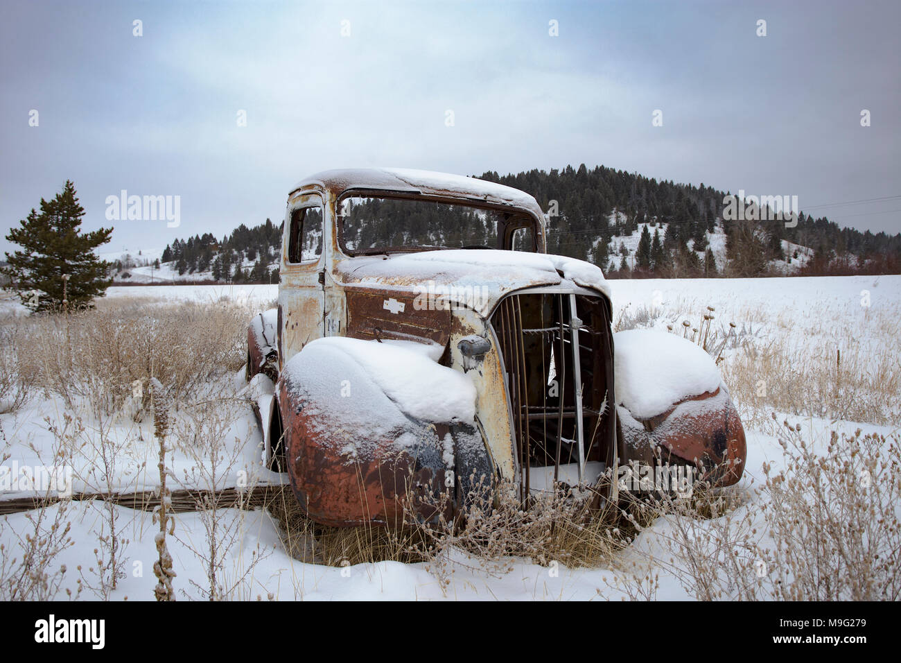 Ein 1937 Chevrolet Pickup truck Ratte Stange in einer verschneiten Landschaft in der Nähe von Silver Lake Montana. Stockfoto