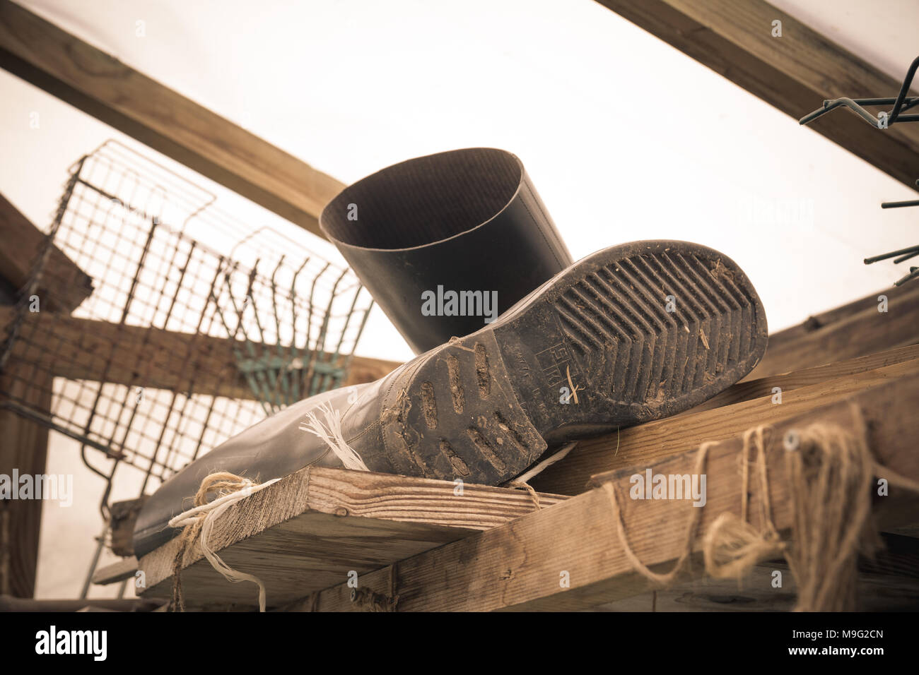 Gummistiefel von einem Bauern liegen im Gewächshaus. Harte Arbeit Konzept. Vintage Style. Stockfoto