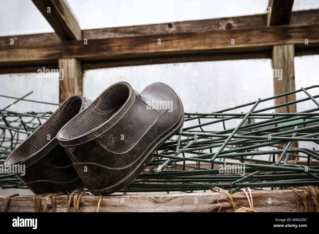 Gummistiefel von einem Bauern liegen im Gewächshaus. Landwirtschaft und harte Arbeit Konzept. Stockfoto
