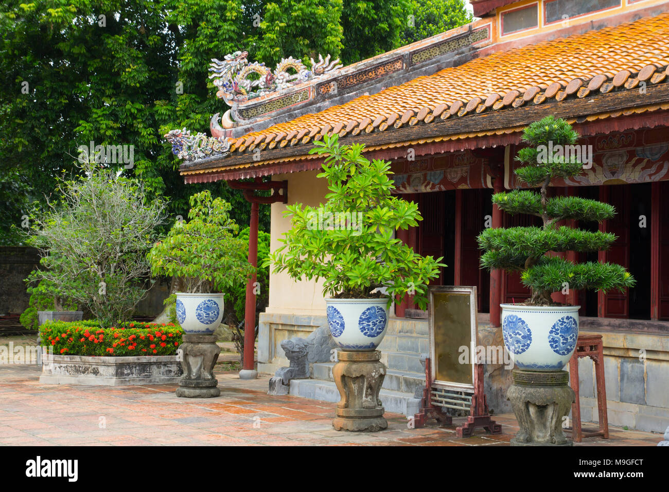 Bonsai Bäume auf chinesischen Tempel hof Stockfoto