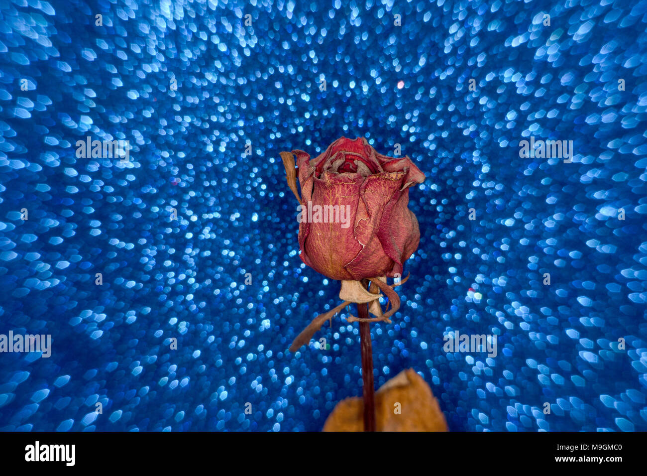 Abstrakter Blauer Hintergrund. Ich habe die bunten Schaumstoffe verwendet, um kreative abstrakte Hintergrundtexturen zu erstellen. Dieser Schuss ist einer von ihnen. Kein Pixeleditor verwendet. Stockfoto