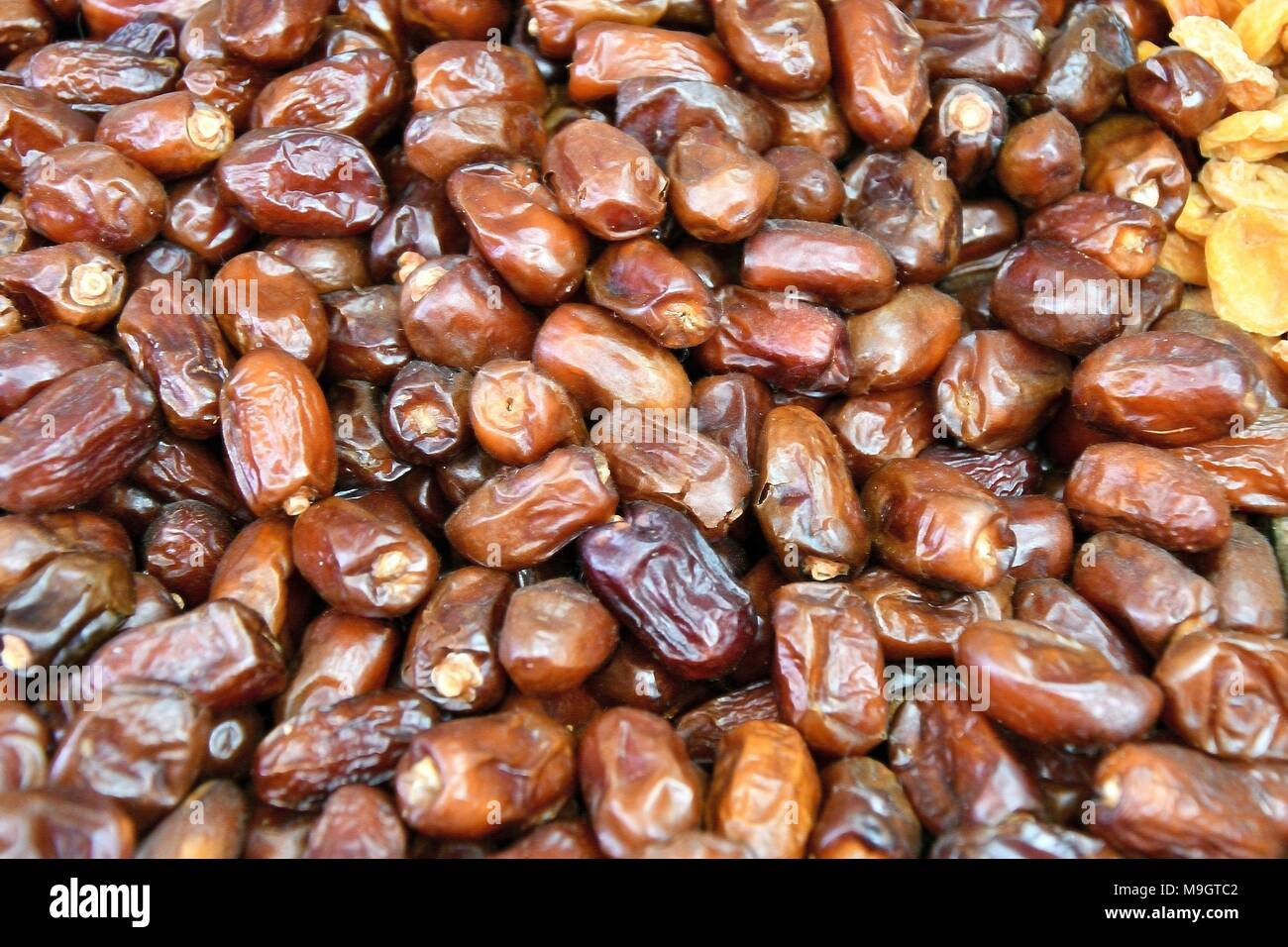 Termine ist das essbare Frucht einiger Arten der Dattelpalme. Für eine lange Zeit von den Menschen sowohl hochwertige Lebensmittel verwendet. Stockfoto