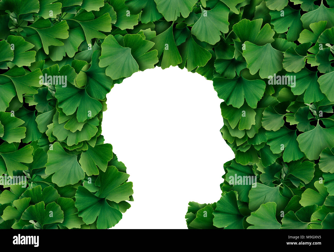 Ginkgo Biloba leaf menschlichen Kopf Profil als Kräutermedizin Konzept und natürlichen Phytotherapie Medikamente Symbol für Heilung. Stockfoto