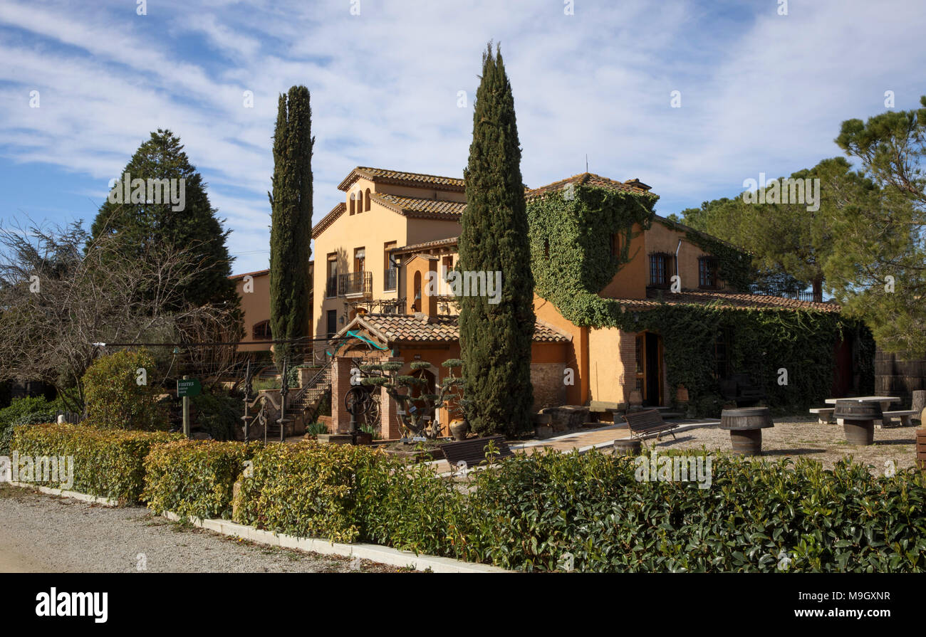 Das Castell Roig Winery ist ein kleines familiengeführtes Weingut in einer historischen Villa auf dem Land in der Nähe von Subirats im Penedes Region Barcelona untergebracht Stockfoto