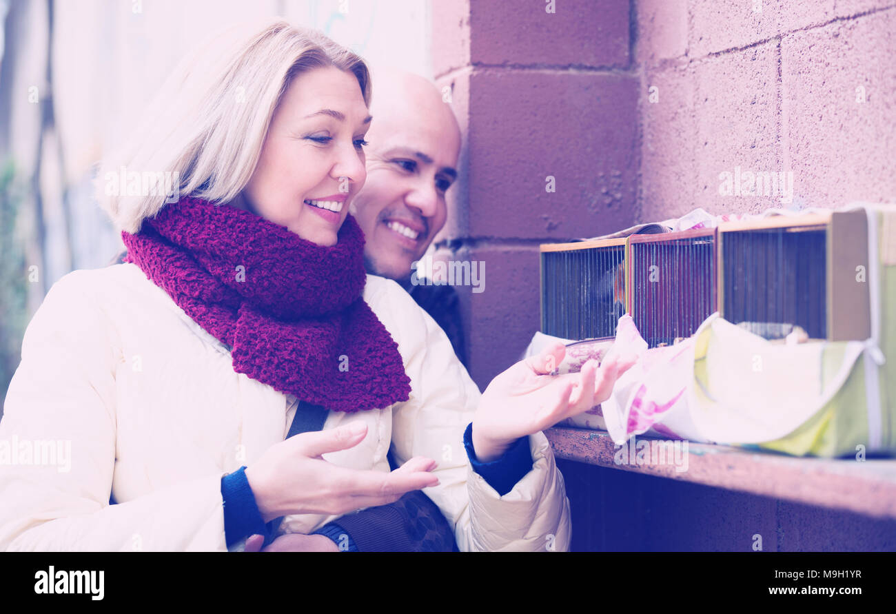 Paar Rentner bewundern kanarischen Vögel in Street Stockfoto