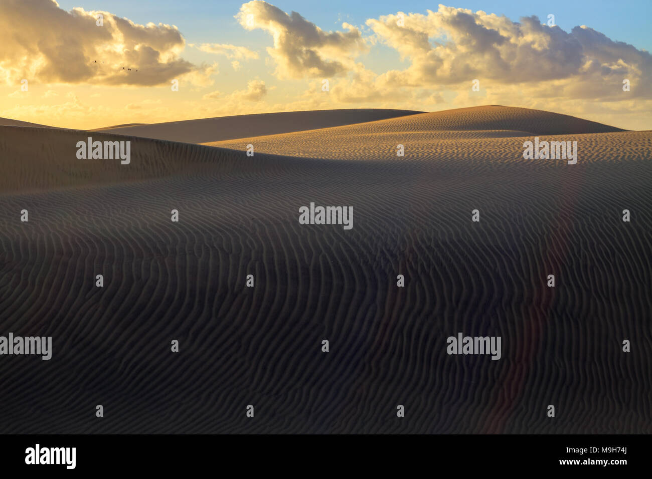 Gerippte und glatte Sand der Dünen von Maspalomas auf Gran Canaria. Stockfoto